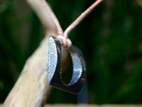 images/banners/damenschmuck/damast_pur/damast_pur05.jpg