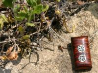 images/banners/damenschmuck/holz/holz02.jpg