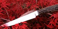 images/banners/feststehende_messer/hirsch/hirsch01.jpg