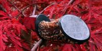 images/banners/feststehende_messer/hirsch/hirsch03.jpg