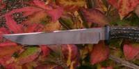 images/banners/feststehende_messer/hirsch/hirsch04.jpg