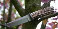 images/banners/feststehende_messer/kleiner_hirsch/kleiner_hirsch01.jpg
