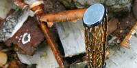 images/banners/feststehende_messer/kleiner_hirsch/kleiner_hirsch05.jpg