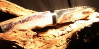 images/banners/feststehende_messer/rentier/rentier03.jpg