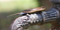 images/banners/feststehende_messer/skinner/skinner06.jpg
