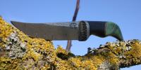 images/banners/feststehende_messer/wildfire/wildfire06.jpg