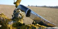 images/banners/feststehende_messer/wildfire/wildfire07.jpg