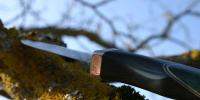 images/banners/feststehende_messer/wildfire/wildfire08.jpg