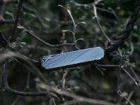images/banners/herrenschmuck/twist/twist03.jpg