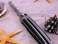 images/banners/klappmesser/frutti_di_mare_2/frutti2_02.jpg
