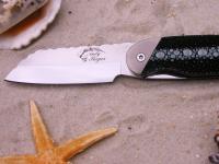 images/banners/klappmesser/frutti_di_mare_2/frutti2_04.jpg