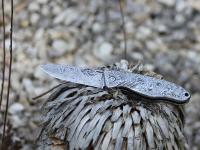 images/banners/klappmesser/gentleman_knife2/gentleman2_01.jpg