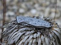 images/banners/klappmesser/gentleman_knife2/gentleman2_04.jpg