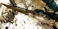 images/banners/kuechenmesser/das_auge/auge03.jpg