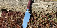 images/banners/kuechenmesser/santoku2/santoku2_03.jpg
