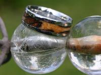 images/banners/ringe_mit_holz/holz04.jpg