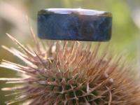 images/banners/ringe_mit_holz/holz06.jpg