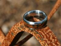 images/banners/ringe_mit_holz/holz13.jpg