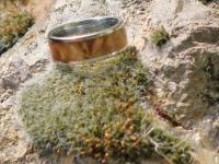 images/banners/ringe_mit_holz/holz26.jpg