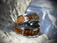 images/banners/wechselringe/wechsel02/wechsel2_07.jpg